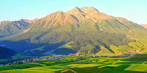 甘肅建投生態(tài)建設(shè)集團(tuán)有限公司隸屬于中國(guó)500強(qiáng)企業(yè)—甘肅省建設(shè)投資（控股）集團(tuán)有限公司，是甘肅建投貫徹落實(shí)“五位一體”總體布局和新發(fā)展理念，推進(jìn)生態(tài)治理板塊發(fā)展的新業(yè)態(tài)公司。